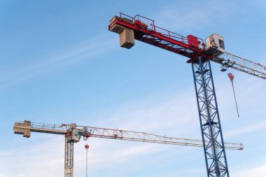 Bir çift vinç gökyüzüne yükseliyor ve açık mavi arka plana bir kent aksanı ekliyor. Biçimlerin basitliği ve minimalist kompozisyon yapılarını vurgular..