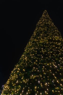 Parlayan Noel ağacı, Noel ruhunu yansıtan çelenklerin narin ışığıyla çevrili karanlıkta duruyor. Işıkların ılık tonları Noel ağacını kucaklıyor gibi, siluetini vurguluyor..