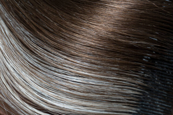 The beauty of aging changes: The macro shot captures the contrast between dark brown hair and textured platinum-gray strands, reflecting the natural process of pigment change.