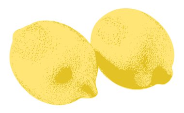 Yumuşak gölgeleme ve noktalı detaylar içeren iki olgun limonun canlı dijital çizimi. Parlak sarı renk taze ve organik bir his veriyor..