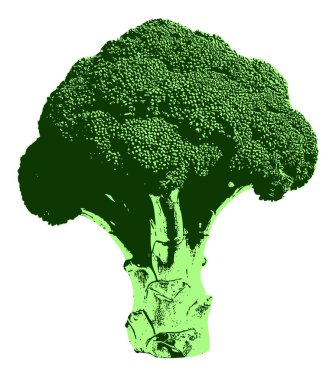 Pop Art Style 'da yüksek desenli Brokoli. Grafik gölgeleme ve dinamik tonlarıyla kalın, yüksek kontrastlı brokoli tasarımı. Göz alıcı posterler, acayip yemek blogları ve beslenme kampanyaları için mükemmel..