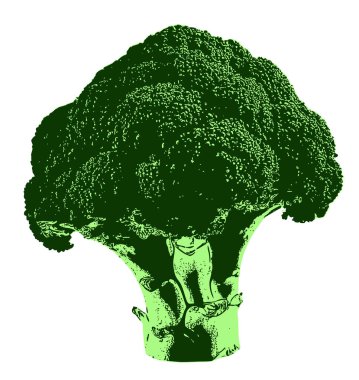 Minimalist Yeşil Brokoli Çizimi, doğal şekli ve dokusunu vurgulayan, taze brokolinin basit bir vektör çizimi. Sağlıklı gıda tasarımları ve organik ürün ambalajları için mükemmel..