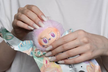 Rumia, Polonya - 16 Ağustos 2025: Labubu pastel pelüş oyuncak, tavşan kulaklı tüylü sevimli tasarımcı bebek, fantezi koleksiyonu.