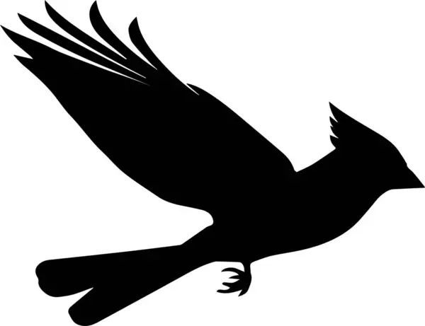 Kardinal vektör sanatı