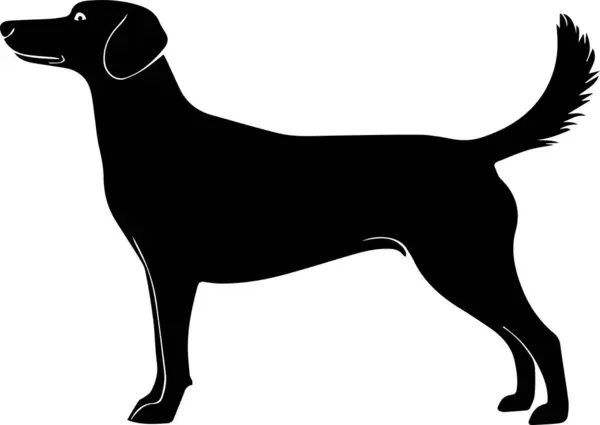 Köpeğin siluet vektör sanatı