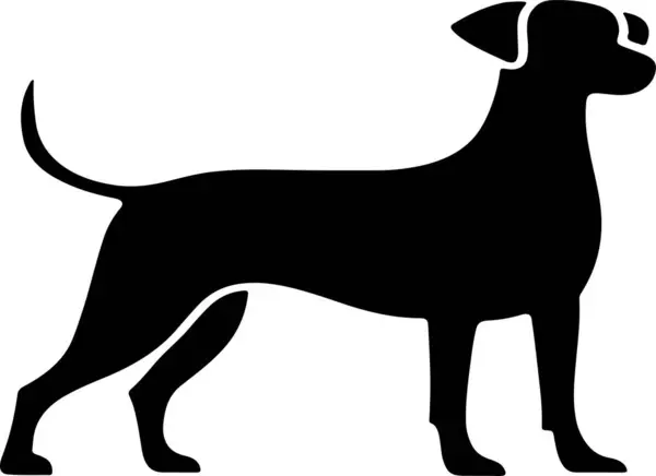 Köpeğin siluet vektör sanatı