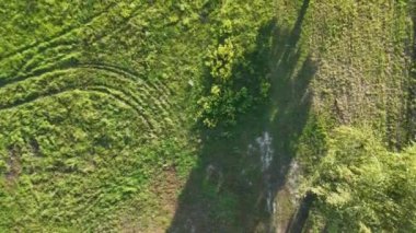 Yeşil yemyeşil bir arazinin hava manzarası görünür izler ve ağaçlardan dağılmış gölgeler. Görüntü, güneşli bir günde doğanın dokusunu ve canlılığını yakalar..