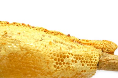 Arı kovanında beyaz arka planda arılarla birlikte tahta çubuk üzerinde bal petekleri. Arıcılık, arıcılık ve arıcılık..