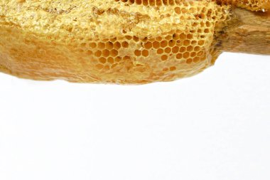 Arı kovanında beyaz arka planda arılarla birlikte tahta çubuk üzerinde bal petekleri. Arıcılık, arıcılık ve arıcılık..