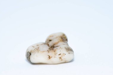 A close-up macro shot of smooth, colorful pebble stones arranged on a white background, showcasing their natural textures and intricate details. clipart