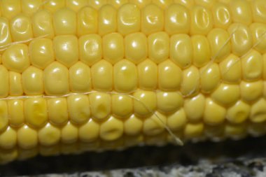 Koçandaki mısır tanelerinin detaylı dokusunu gösteren yakın çekim bir makro fotoğraf, bu önemli mahsulün canlı sarı rengini ve doğal desenlerini vurguluyor..