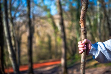 In the serene forest, a woman gracefully holds a rod stick, embodying elegance amidst nature's tranquil beauty. clipart