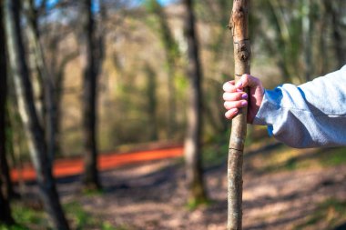 Huzurlu ormanda, bir kadın zarif bir değnek tutar, doğanın sakin güzelliğinin arasında zerafeti somutlaştırır..