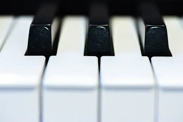 Büyüleyici bir makro fotoğraf, müzik sanatının özünü vurgulayarak siyah ve beyaz piyano tuşlarının karmaşık ayrıntılarını ve zıtlığını yakalar..