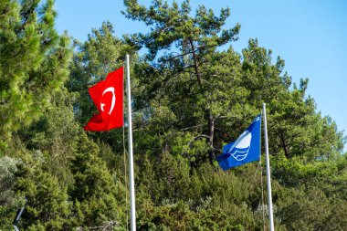 A vibrant display of the Turkish flag alongside a blue sea flag, framed by lush trees, celebrating nature and national pride in harmony. clipart