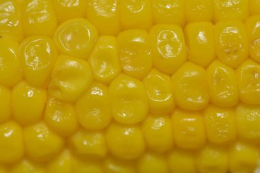 Koçandaki mısır tanelerinin detaylı dokusunu gösteren yakın çekim bir makro fotoğraf, bu önemli mahsulün canlı sarı rengini ve doğal desenlerini vurguluyor..