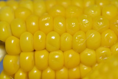 Koçandaki mısır tanelerinin detaylı dokusunu gösteren yakın çekim bir makro fotoğraf, bu önemli mahsulün canlı sarı rengini ve doğal desenlerini vurguluyor..