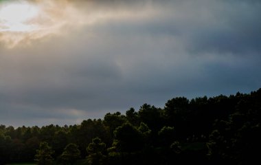 Bulutlu hava, yapraklı ağaçların üzerinde dingin ve dengesiz bir atmosfer yaratarak açık havada ruhani ve sakin bir manzara yaratıyor..