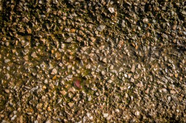 A detailed close-up photo capturing the textured surface of an asphalt road after rain, adorned with raindrops, presenting the beauty of urban moisture. clipart