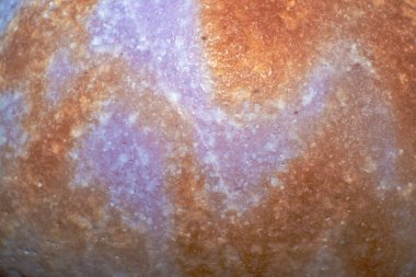 Büyüleyici bir makro fotoğraf, karmaşık yüzey modelini ve okyanus derinliklerinden gelen Cypraea türlerinin doğal güzelliklerini gözler önüne seriyor.
