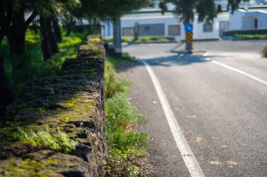 A sunlit day unveils the vibrant greenery of moss on a road and wall, creating a natural and textured outdoor scene clipart