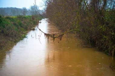 Yağmurun öptüğü çalıların arasında kıvrılan bir nehrin huzurlu güzelliğine daldır kendini. Yağmur damlaları yaprakların üzerinde dans eder, doğanın kalbinde dingin ve ferahlatıcı bir sahne yaratır.