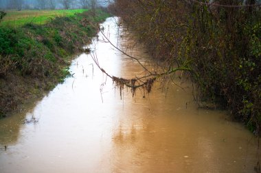 Yağmurun öptüğü çalıların arasında kıvrılan bir nehrin huzurlu güzelliğine daldır kendini. Yağmur damlaları yaprakların üzerinde dans eder, doğanın kalbinde dingin ve ferahlatıcı bir sahne yaratır.