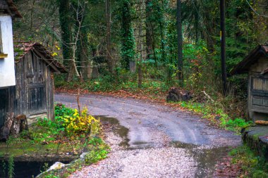 Büyüleyici bir köy yolu küçük bir evin önünden geçiyor, kırsal sadeliğin ve huzurlu kırsal hayatın resimsel bir manzarasını oluşturuyor.