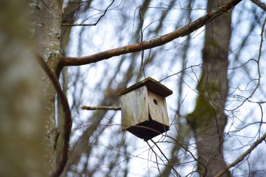 Kırsal bir ahşap kuş yuvası ormanın dalları ve yaprakları arasında yuva yapmış ve kuşlar için rahat bir barınak sağlamaktadır..
