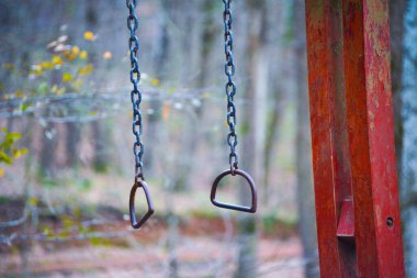 Ormanın yoğun yeşillikleri arasında keşif ve macera için kullanılan özel bir asma aparatı..