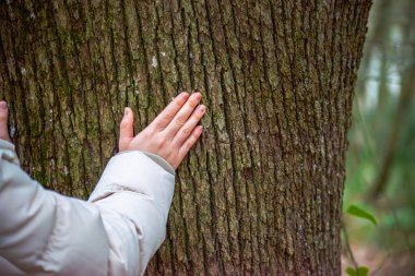 Bir kadının elinin yumuşak dokunuşunu bir ağaç gövdesinin dokusuna yansıtan sakin bir görüntü doğayla uyumu sembolize eder..