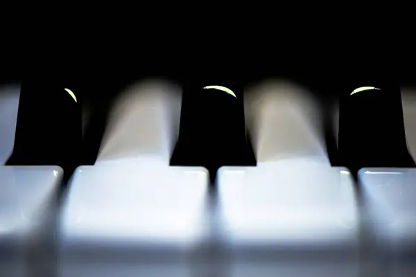 Büyüleyici bir makro fotoğraf, müzik sanatının özünü vurgulayarak siyah ve beyaz piyano tuşlarının karmaşık ayrıntılarını ve zıtlığını yakalar..