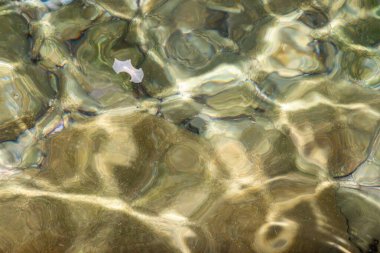 Küçük balık yumurtalarının yüzdüğü sakin bir gece manzarası. Ay ışığını yansıtıyor ve huzurlu, gizemli bir su ortamı yaratıyor..