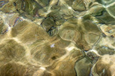 Küçük balık yumurtalarının yüzdüğü sakin bir gece manzarası. Ay ışığını yansıtıyor ve huzurlu, gizemli bir su ortamı yaratıyor..