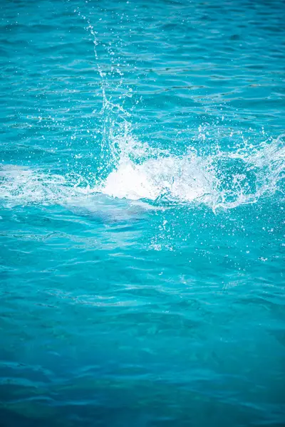 Okyanusun heyecanını ve enerjisini yakalayan, bir atlayıştan sonra denizin yüzeyine çarpıcı bir şekilde su sıçrayan dinamik ve ferahlatıcı bir an..