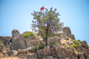 Türk bayrağının yer aldığı güçlü bir görüntü, antik taş kalıntılarıyla çevrili engebeli bir dağda gururla sergileniyor.