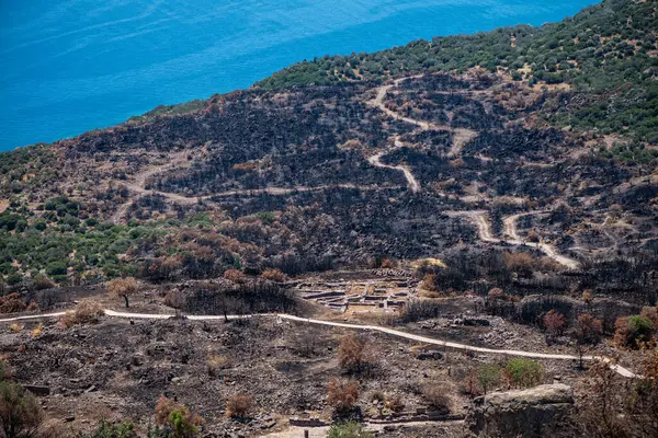Eski bir Akdeniz şehrinin dramatik ve güçlü bir görsel temsili alevler içinde kalmış, bir zamanların gelişmekte olan medeniyetinin kaos, yıkım ve duygusal yoğunluğunu yakalıyor ve yıkıma sürüklüyor..