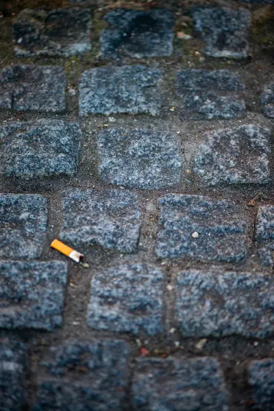 Kullanılmış sigaranın yakın plan görüntüsü, kentsel alanlardaki çöpleri ve çevresel ihmalleri sembolize ediyor.