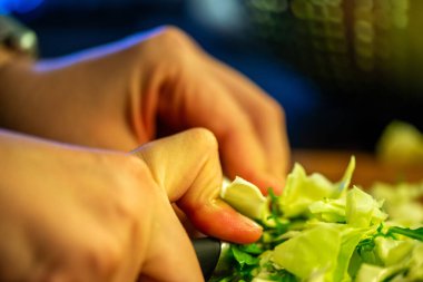 Salatalık, marul ve diğer sebzeleri dilimleyen bir kadının ev yapımı salatanın tazeliğini ve sağlığını yakaladığı canlı bir mutfak sahnesi..