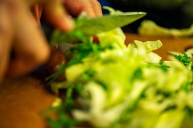 Salatalık, marul ve diğer sebzeleri dilimleyen bir kadının ev yapımı salatanın tazeliğini ve sağlığını yakaladığı canlı bir mutfak sahnesi..