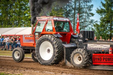 Aarhus, Danimarka. 16 Ağustos 2025 Güçlü makinelerin neşeli festival kalabalığından önce ağır topları çamura sürüklediği bir yarışma..