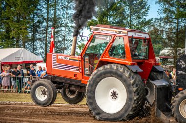 Aarhus, Danimarka. 16 Ağustos 2025 Güçlü makinelerin neşeli festival kalabalığından önce ağır topları çamura sürüklediği bir yarışma..