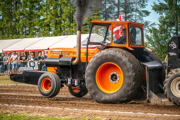 Aarhus, Danimarka. 16 Ağustos 2025 Güçlü makinelerin neşeli festival kalabalığından önce ağır topları çamura sürüklediği bir yarışma..