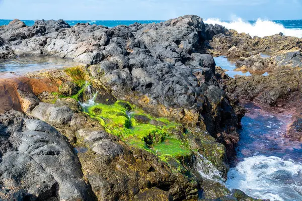 Kayalar ve dalgalarla dolu Atlantik Okyanusu 'nun kayalık kıyıları. tenerife, kanarya adaları, İspanya