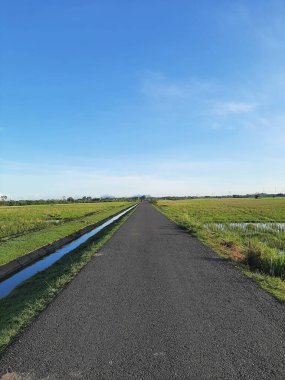 Çarpıcı yeşil pirinç tarlalarıyla çevrili düz bir yol. Doğa ve sükunetin mükemmel bir karışımını sunuyor..