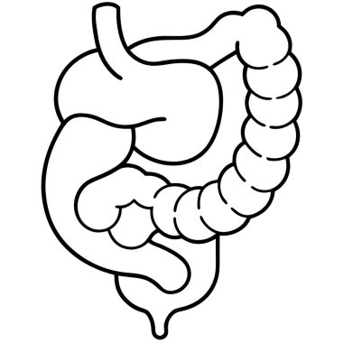 Mide ikonu. Beyaz arkaplanda izole edilmiş web tasarımı için mide vektör simgesinin özet çizimi