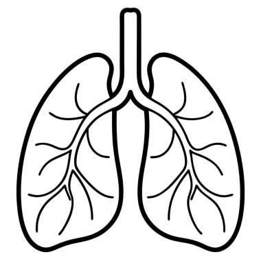 Akciğerler simgesi. Akciğer basit illüstrasyon vektör web simgesi