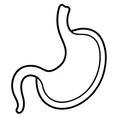 Mide ikonu. Web için mide vektör simgelerinin özet çizimi