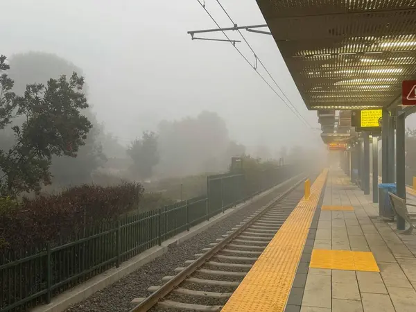 Şehirdeki tren rayları.