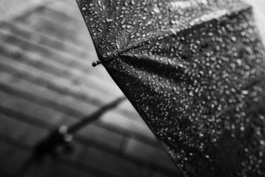 Karanlık gökyüzünün güzel bir arka planının siyah beyaz fotoğrafı